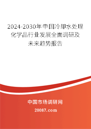 2024-2030年中国冷却水处理化学品行业发展全面调研及未来趋势报告