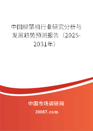中国柳箔机行业研究分析与发展趋势预测报告（2025-2031年）