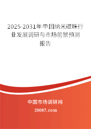 2025-2031年中国纳米磁珠行业发展调研与市场前景预测报告