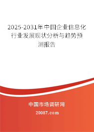 2025-2031年中国企业信息化行业发展现状分析与趋势预测报告