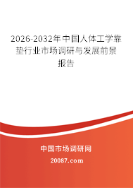 2026-2032年中国人体工学靠垫行业市场调研与发展前景报告