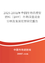 2025-2031年中国生物质成型燃料（BMF）市场深度调查分析及发展前景研究报告