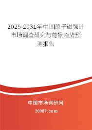 2025-2031年中国原子磁强计市场调查研究与前景趋势预测报告