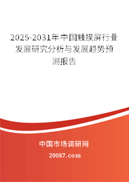 2025-2031年中国触摸屏行业发展研究分析与发展趋势预测报告
