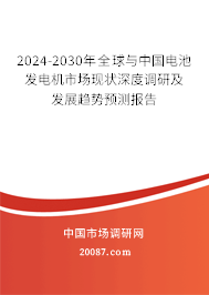 2024-2030年全球与中国电池发电机市场现状深度调研及发展趋势预测报告