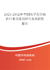 2025-2031年中国电子真空器件行业深度调研与发展趋势报告 2025-2031年中国电子真空器件行业深度调研与发展趋势报告