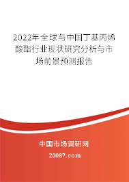 2022年全球与中国丁基丙烯酸酯行业现状研究分析与市场前景预测报告