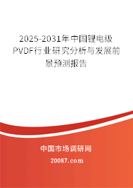 2025-2031年中国锂电级PVDF行业研究分析与发展前景预测报告