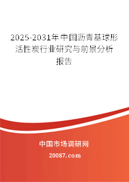 2025-2031年中国沥青基球形活性炭行业研究与前景分析报告 2025-2031年中国沥青基球形活性炭行业研究与前景分析报告