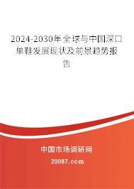 2024-2030年全球与中国深口单鞋发展现状及前景趋势报告 2024-2030年全球与中国深口单鞋发展现状及前景趋势报告