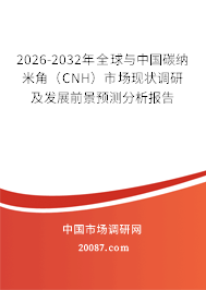 2026-2032年全球与中国碳纳米角(CNH)市场现状调研及发展前景预测分析报告 2026-2032年全球与中国碳纳米角(CNH)市场现状调研及发展前景预测分析报告