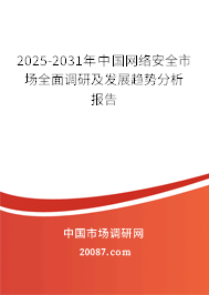 2025-2031年中国网络安全市场全面调研及发展趋势分析报告