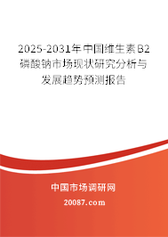 2025-2031年中国维生素B2磷酸钠市场现状研究分析与发展趋势预测报告