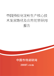 中国预胶化淀粉生产核心技术发展路径及应用前景研判报告