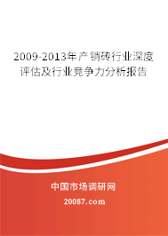 2009-2013年产销砖行业深度评估及行业竞争力分析报告