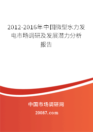 2012-2016年中国微型水力发电市场调研及发展潜力分析报告