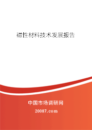 磁性材料技术发展报告