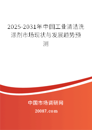 2025-2031年中国工业清洁洗涤剂市场现状与发展趋势预测 2025-2031年中国工业清洁洗涤剂市场现状与发展趋势预测