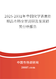2025-2031年中国化学表面处理品市场全景调研及发展趋势分析报告 2025-2031年中国化学表面处理品市场全景调研及发展趋势分析报告