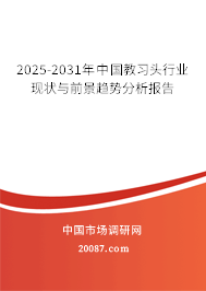 2025-2031年中国教习头行业现状与前景趋势分析报告