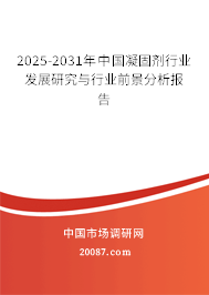 2025-2031年中国凝固剂行业发展研究与行业前景分析报告