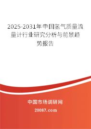 2025-2031年中国氢气质量流量计行业研究分析与前景趋势报告