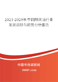 2023-2029年中国晒黑油行业发展调研与趋势分析报告