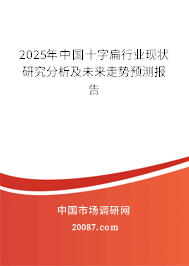 2025年中国十字扁行业现状研究分析及未来走势预测报告