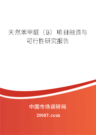 天然苯甲醛（B）项目融资与可行性研究报告