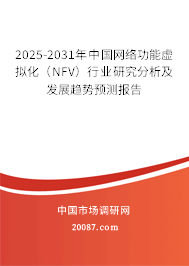 2025-2031年中国网络功能虚拟化(NFV)行业研究分析及发展趋势预测报告 2025-2031年中国网络功能虚拟化(NFV)行业研究分析及发展趋势预测报告