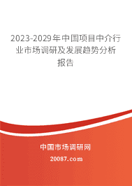 2023-2029йĿнҵгмչƷ