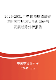 2025-2031年中国樟脑磺酸钠注射液市场现状全面调研与发展趋势分析报告 2025-2031年中国樟脑磺酸钠注射液市场现状全面调研与发展趋势分析报告