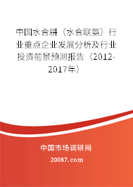 中国水合肼（水合联氨）行业重点企业发展分析及行业投资前景预测报告（2012-2017年）