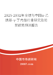 2025-2031年全球与中国α-乙酰基-γ-丁内酯行业研究及前景趋势预测报告