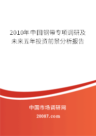 2010年中国钢带专项调研及未来五年投资前景分析报告