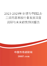 2023-2029年全球与中国2,6-二异丙基苯胺行业发展深度调研与未来趋势预测报告