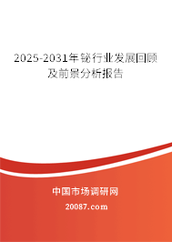 2025-2031年铋行业发展回顾及前景分析报告 2025-2031年铋行业发展回顾及前景分析报告