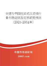 全球与中国侧梁式压滤机行业市场调研及前景趋势预测（2025-2031年）