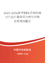 2025-2031年中国电子材料细分产品行业研究分析与市场前景预测报告
