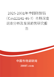 2025-2031年中国硅酸铝(Cas12141-46-7)市场深度调查分析及发展趋势研究报告 2025-2031年中国硅酸铝(Cas12141-46-7)市场深度调查分析及发展趋势研究报告