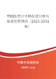 中国水位计市场现状分析与发展前景预测（2025-2031年）