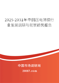 2025-2031年中国压电薄膜行业发展调研与前景趋势报告 2025-2031年中国压电薄膜行业发展调研与前景趋势报告