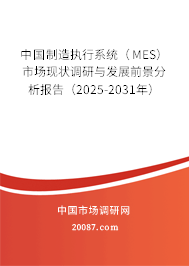 中国制造执行系统（MES）市场现状调研与发展前景分析报告（2025-2031年）