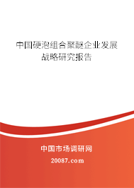 中国硬泡组合聚醚企业发展战略研究报告 中国硬泡组合聚醚企业发展战略研究报告