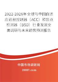 2022-2028年全球与中国自适应巡航控制器（ACC）和盲点检测器（BSD）行业发展全面调研与未来趋势预测报告