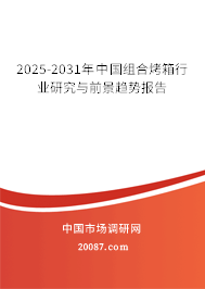 2025-2031年中国组合烤箱行业研究与前景趋势报告