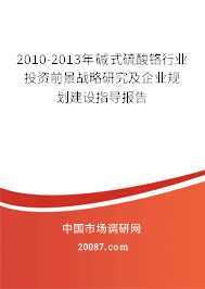2010-2013年碱式硫酸铬行业投资前景战略研究及企业规划建设指导报告