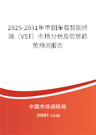 2025-2031年中国车载智能终端(VST)市场分析及前景趋势预测报告 2025-2031年中国车载智能终端(VST)市场分析及前景趋势预测报告