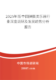 2025年版中国弹拨类乐器行业深度调研及发展趋势分析报告 2025年版中国弹拨类乐器行业深度调研及发展趋势分析报告