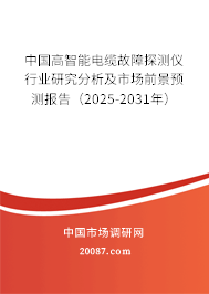 中国高智能电缆故障探测仪行业研究分析及市场前景预测报告（2025-2031年）